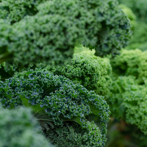 Kale Chips - Zesty Nacho, 60g